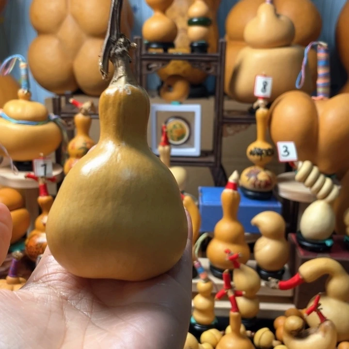*****好了还是我没去成