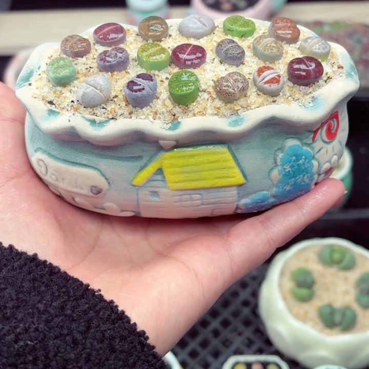 505零下地区记得拍保温箱