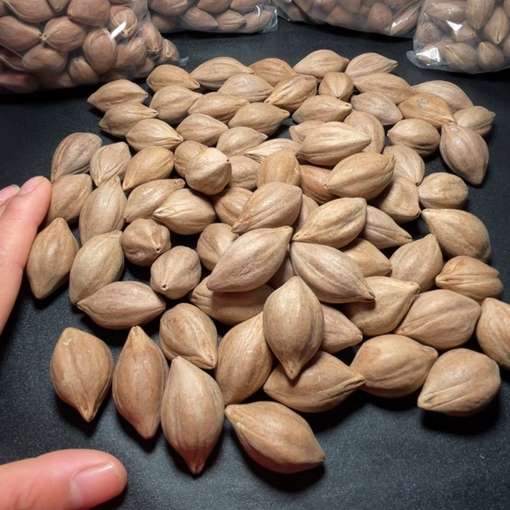 修***平猪牙手串/手链我是