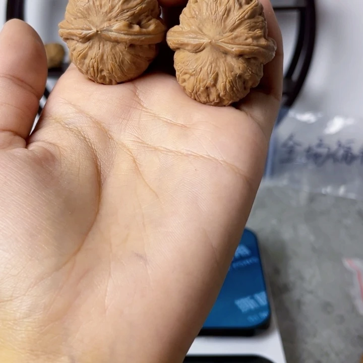 ?***0元宝一点点小磕尖