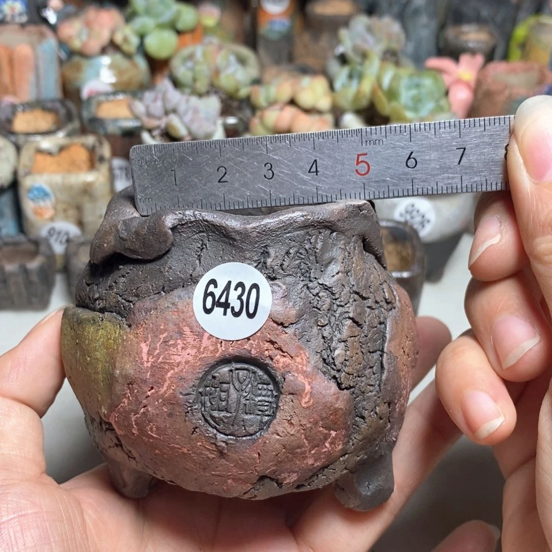 拍3送一个小礼物