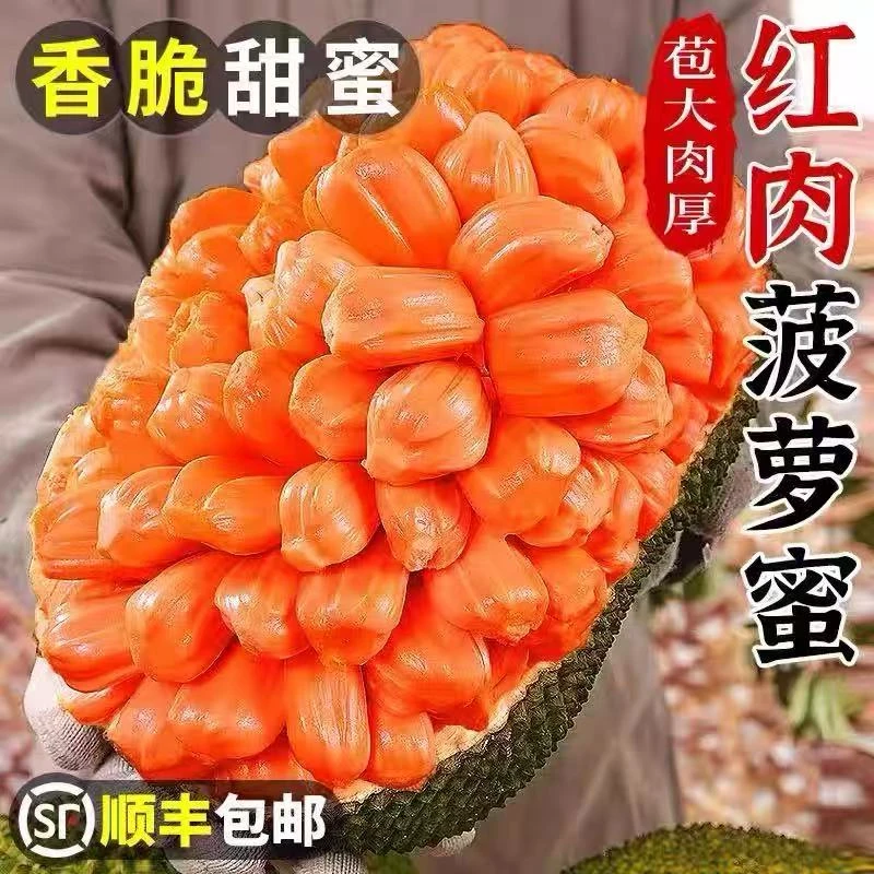 【顺丰包邮】越南进口印尼红红肉菠萝蜜干苞脆香甜应季新鲜水果直发