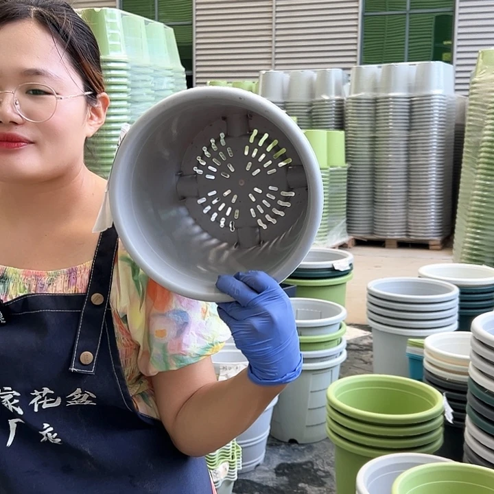 四季盆4#灰白色8个无托