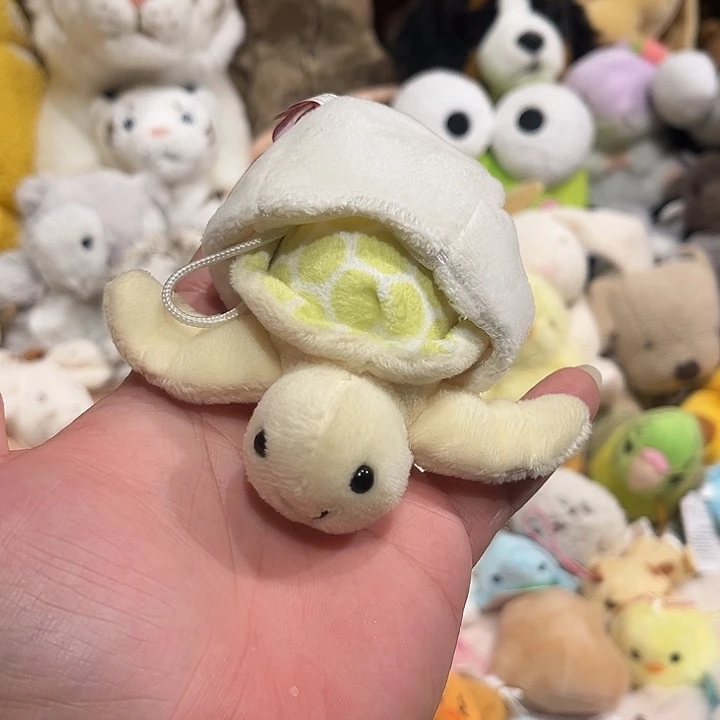 毛绒蛋壳乌龟哈哈哈哈哈哈