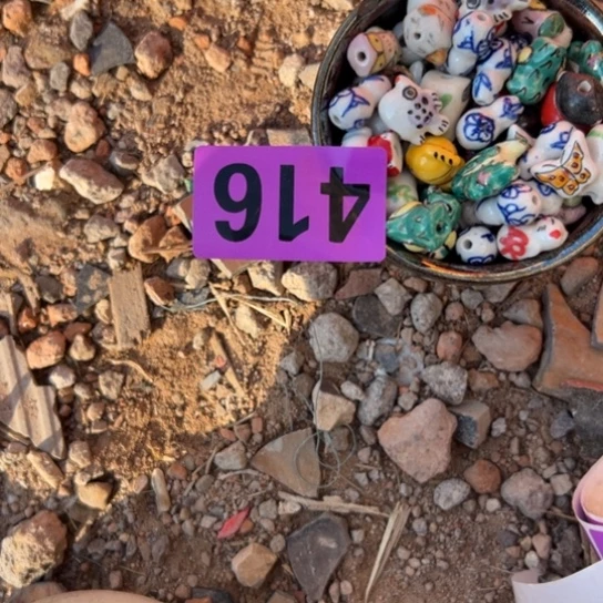 海***月杂色豆（科檀/科特迪瓦檀木）