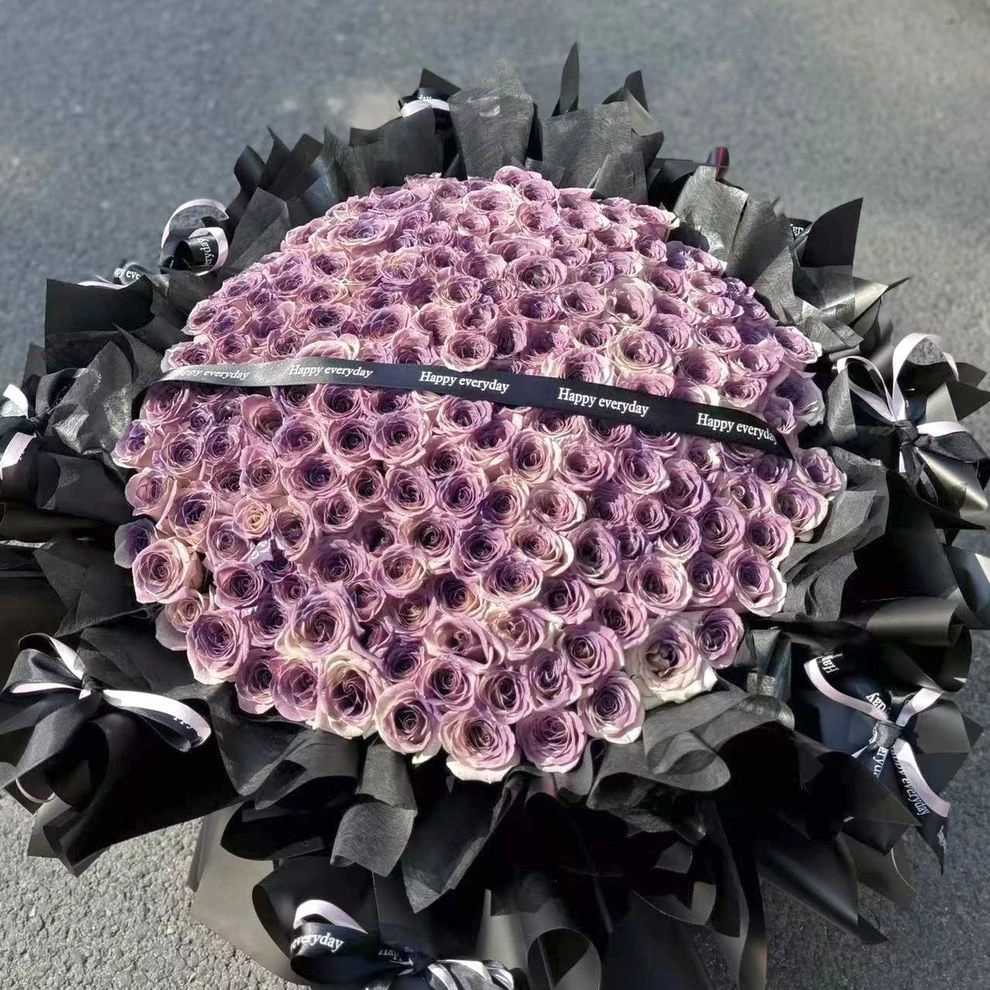 【月落人间】199朵曼塔乌梅子酱花束大型花束生日鲜花生日花束花店送花上门