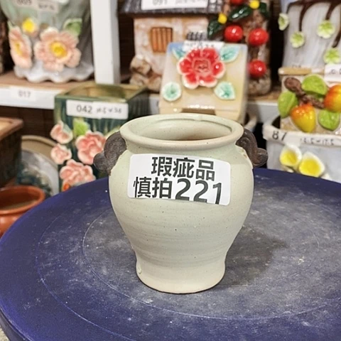 【闪购商品】    221