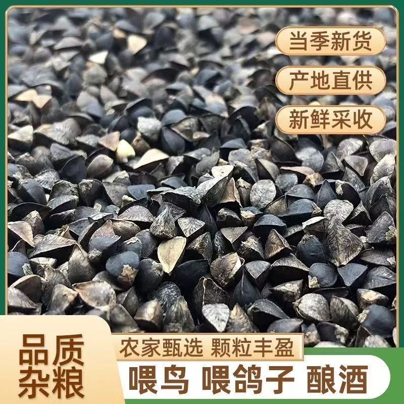 精品带壳荞麦鸟粮玄凤虎皮鹦鹉饲料甜荞仓鼠豚鼠龙猫宠物新鲜鸽粮