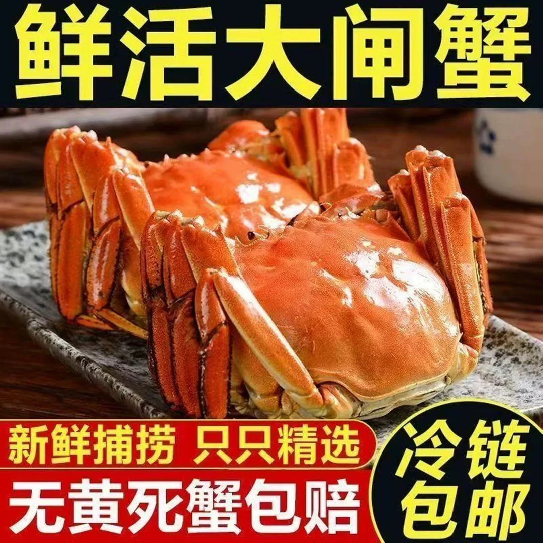 【活蟹】苏州东山大闸蟹母3.6-3.3两公3.6-3.3两6-10只鲜活螃蟹