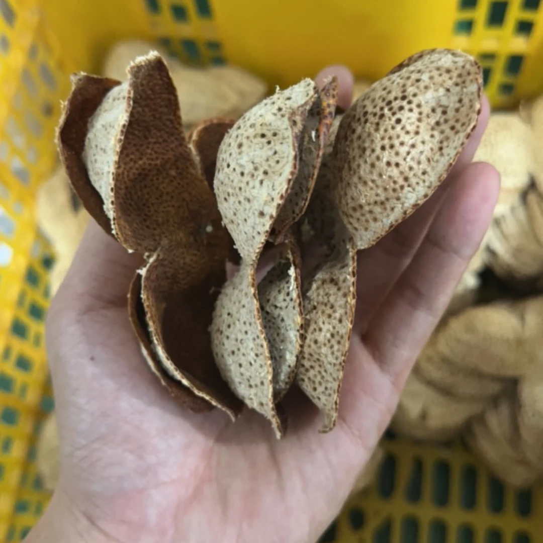 2022年40年树龄老树冬后直皮