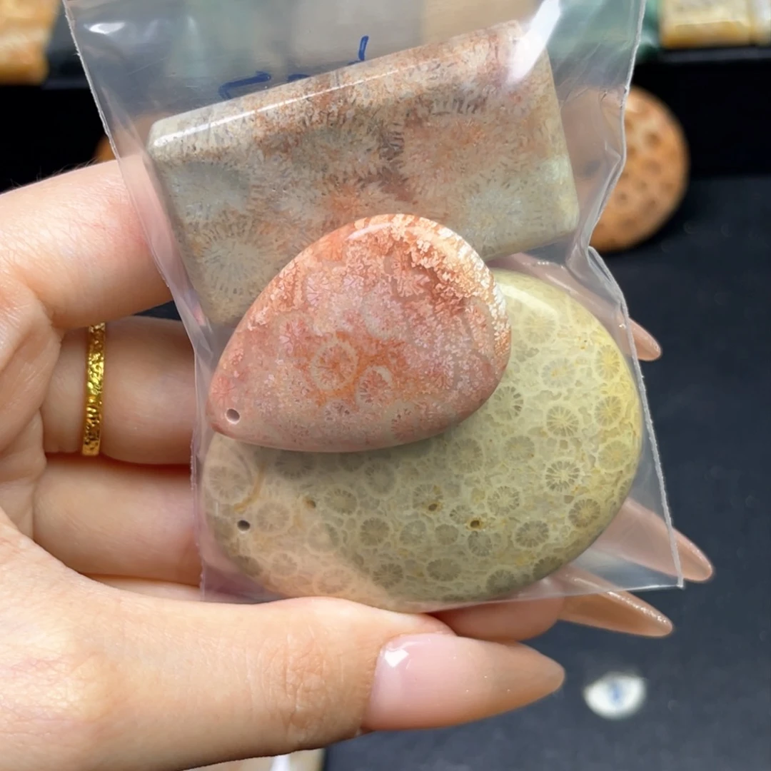 硅化珊瑚（珊瑚玉）吊坠未镶嵌