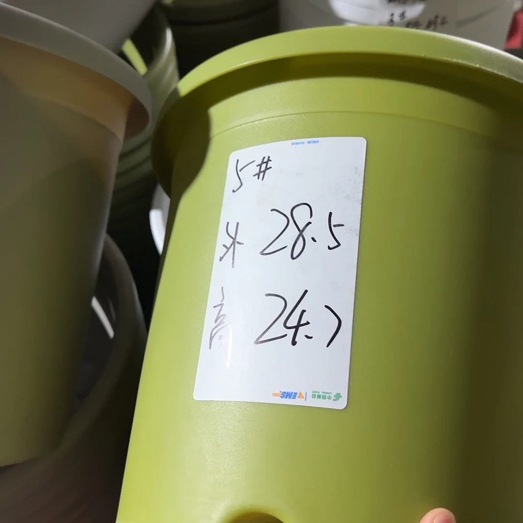 树脂四季5号无托6个果绿