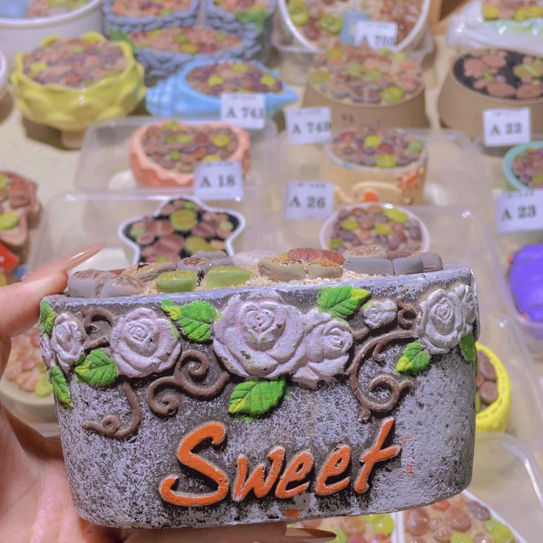 花花盆。。。。。。。。。。。。。