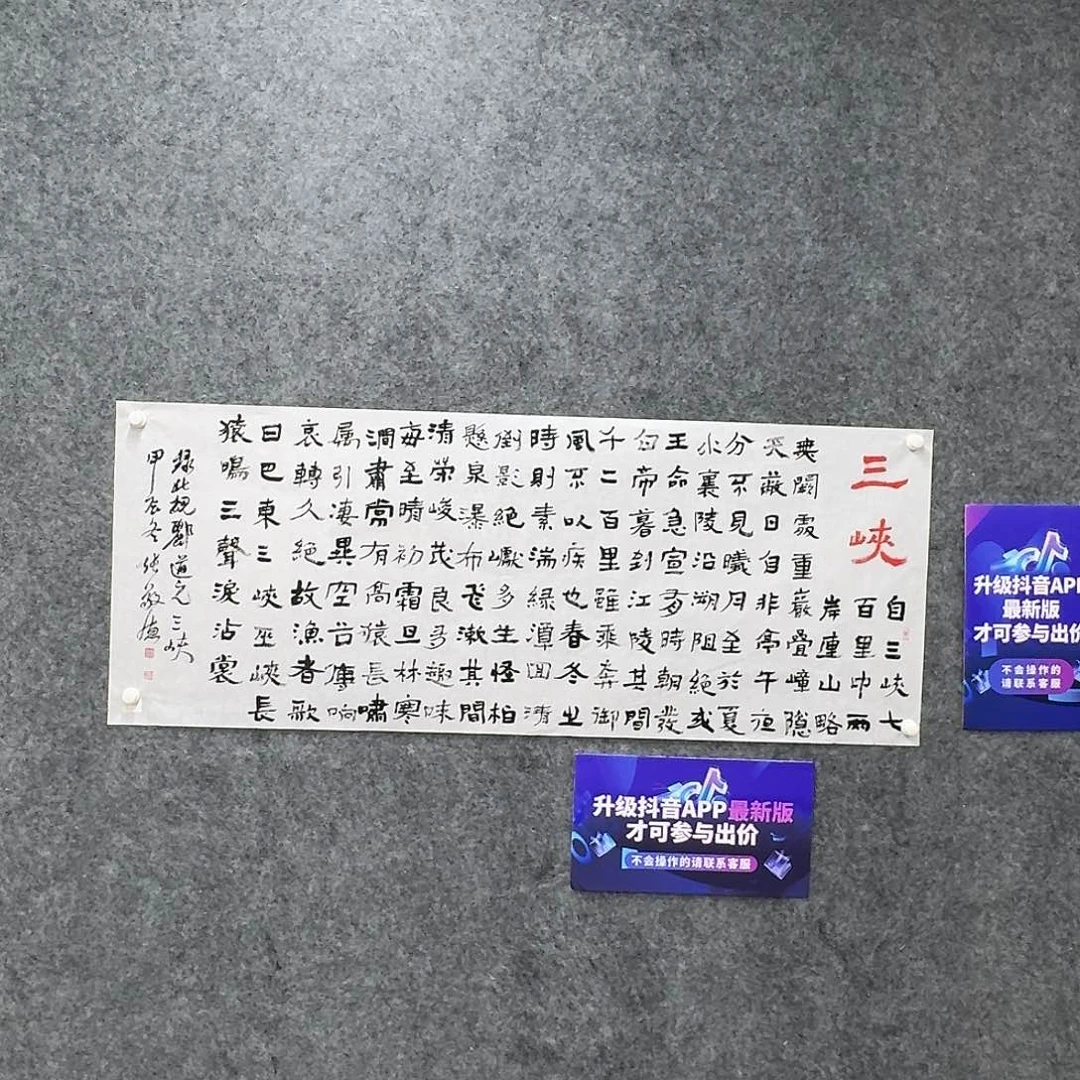书法书法ZJD书法作品