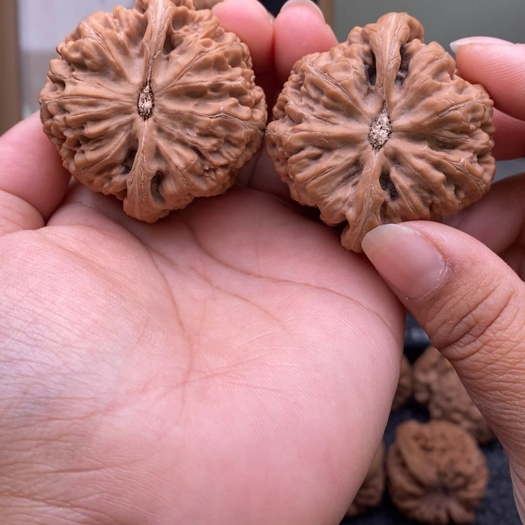 文玩核桃把件46大粗筋