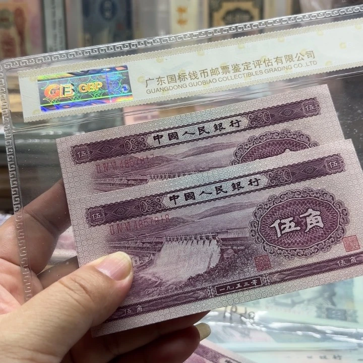浅水坝伍角2连———————-