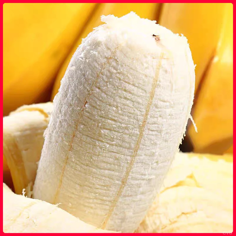 正宗苹果蕉产地广东直发3/5斤应季新鲜水果批发自然熟甜软糯香蕉