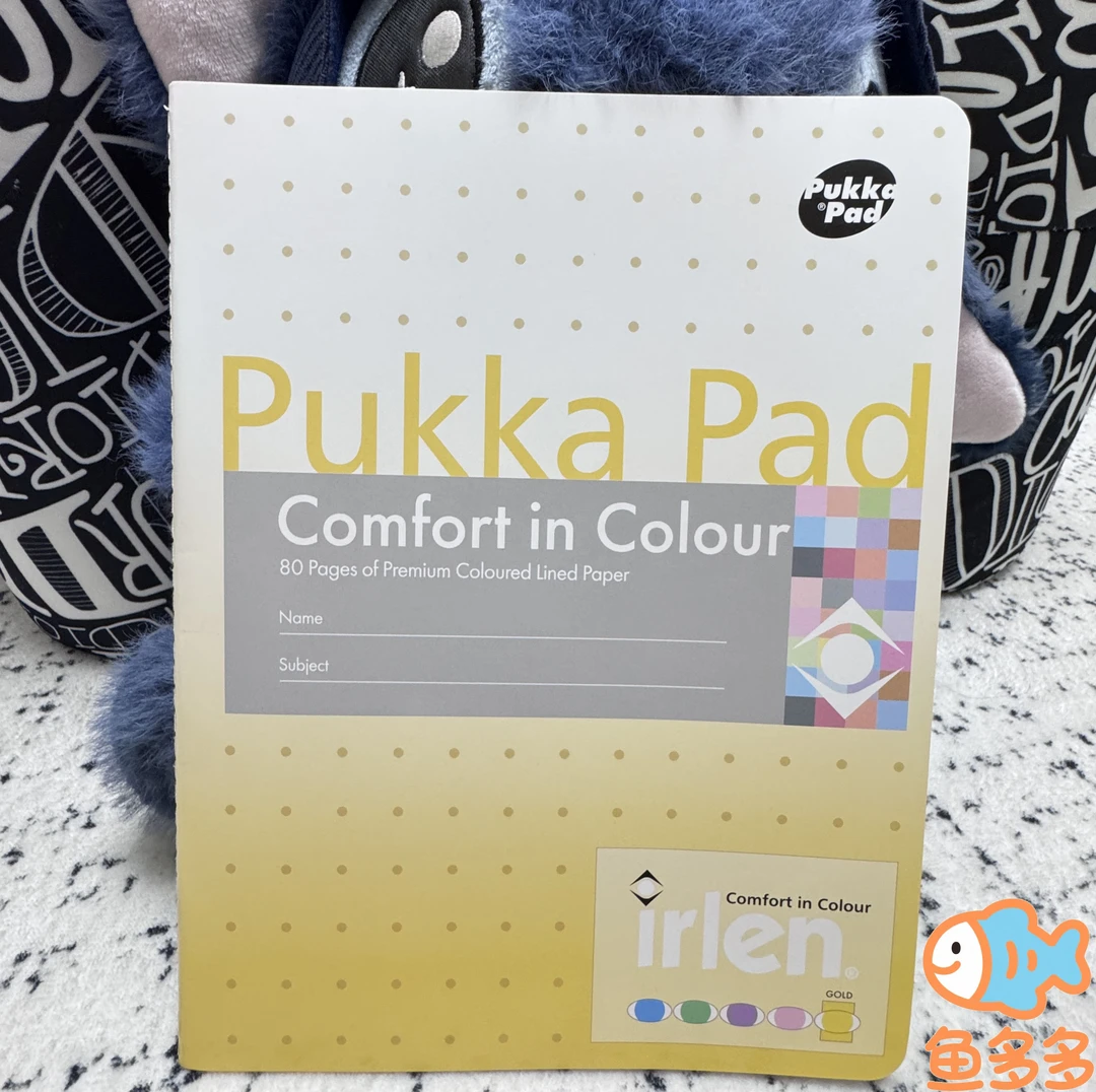 PukkaPadB5彩色内页分栏40张80g厚纸分栏宽行距可学习必备用品