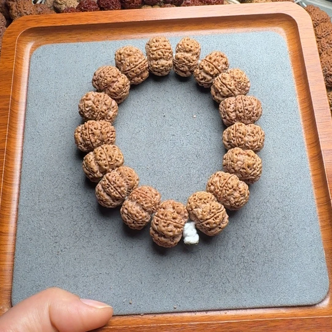 菩提菩提5号尼泊尔大金刚22夹板梅花