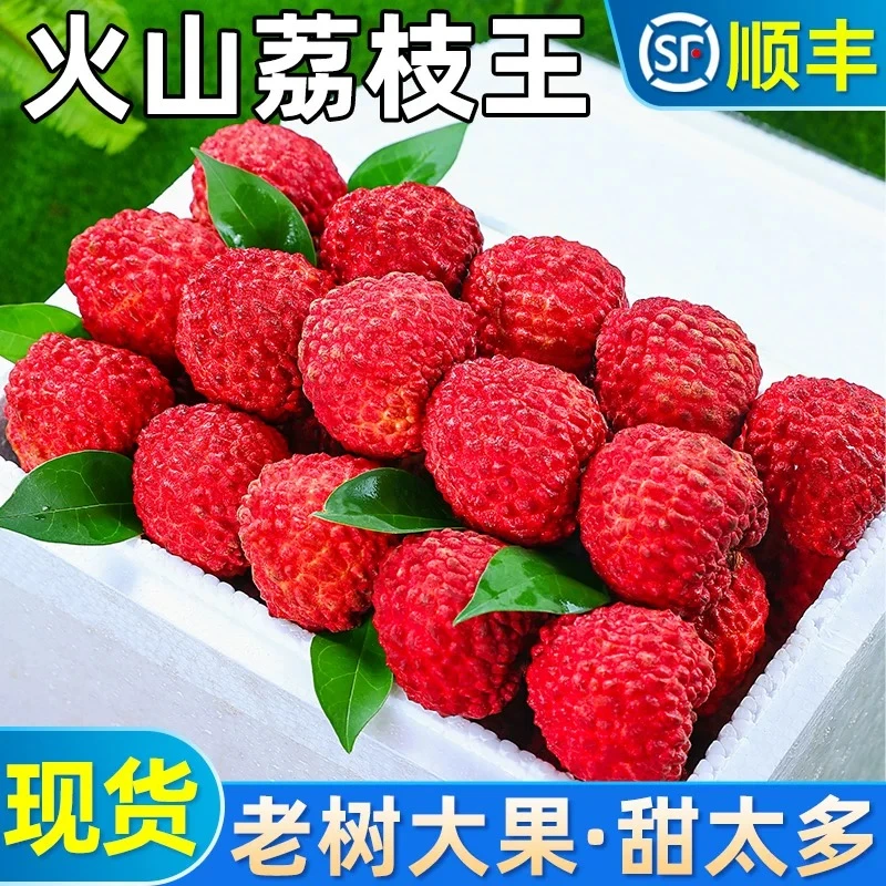 【次日达】火山荔枝王！顺丰冷链！海南火山口荔枝王1-4斤当季新鲜荔枝同城送