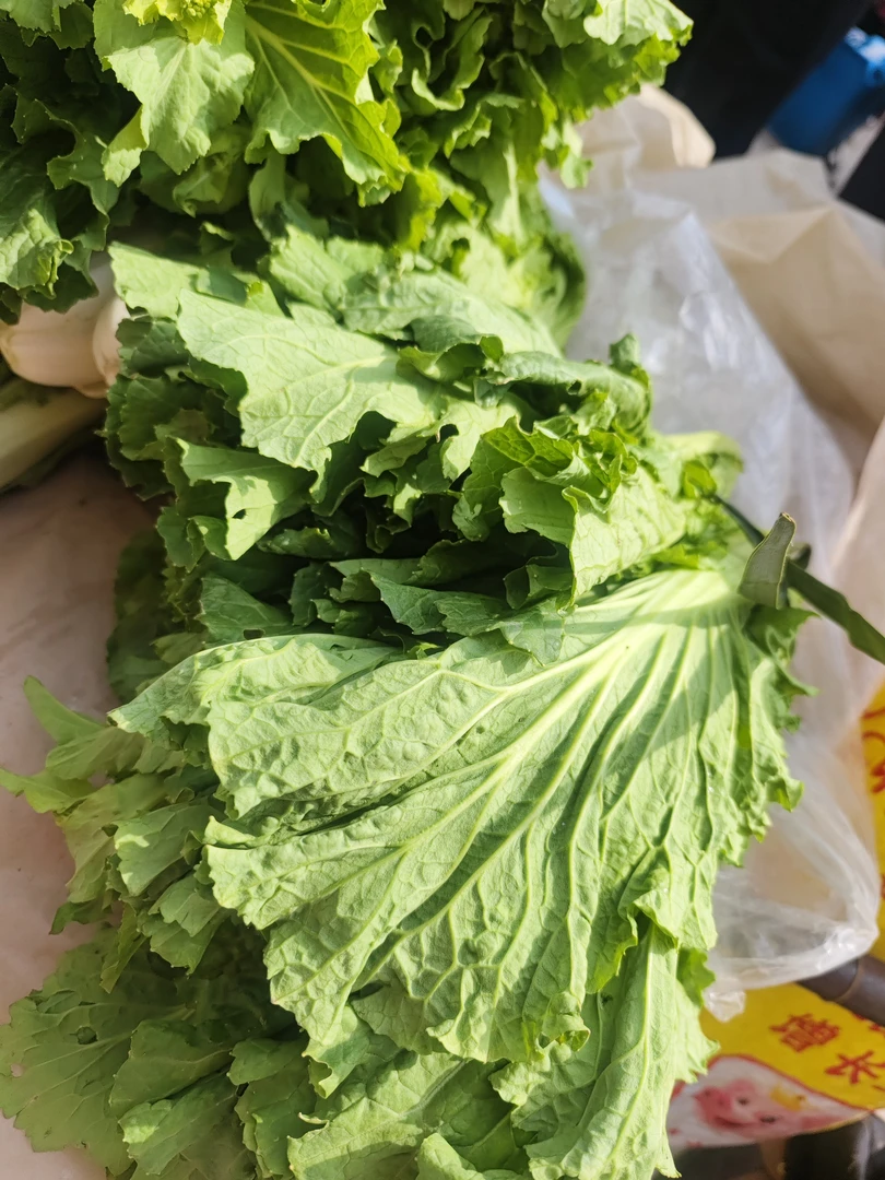 （农家白菜苔）贵州农家露天种植白菜苔