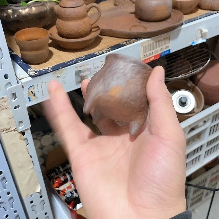 瓷片然后我们的一年终于能见到一只