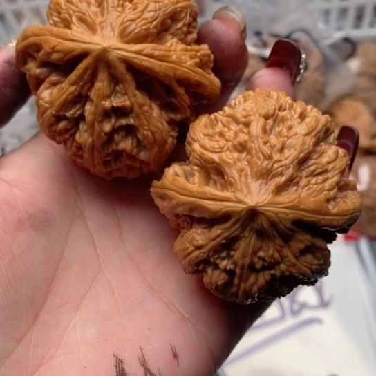 文玩核桃把件?***缘粗筋