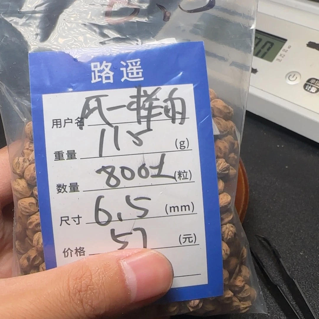 风***子柏香籽/百香籽吊坠