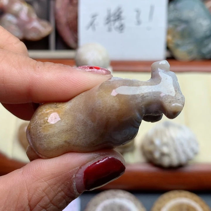 硅化珊瑚（珊瑚玉）颈饰未镶嵌