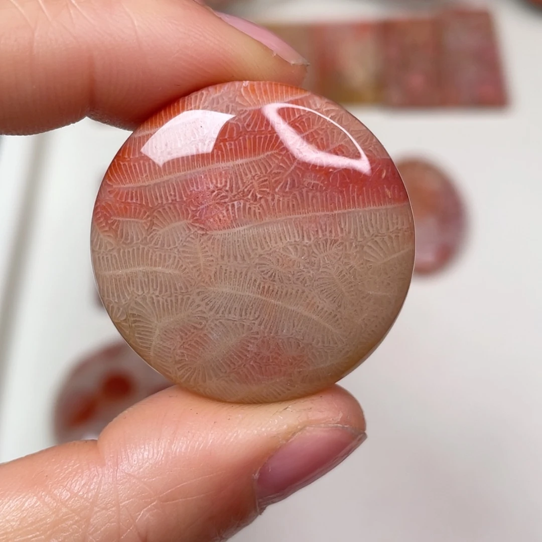 【闪购商品】未镶嵌吊坠(赠链)硅化玉