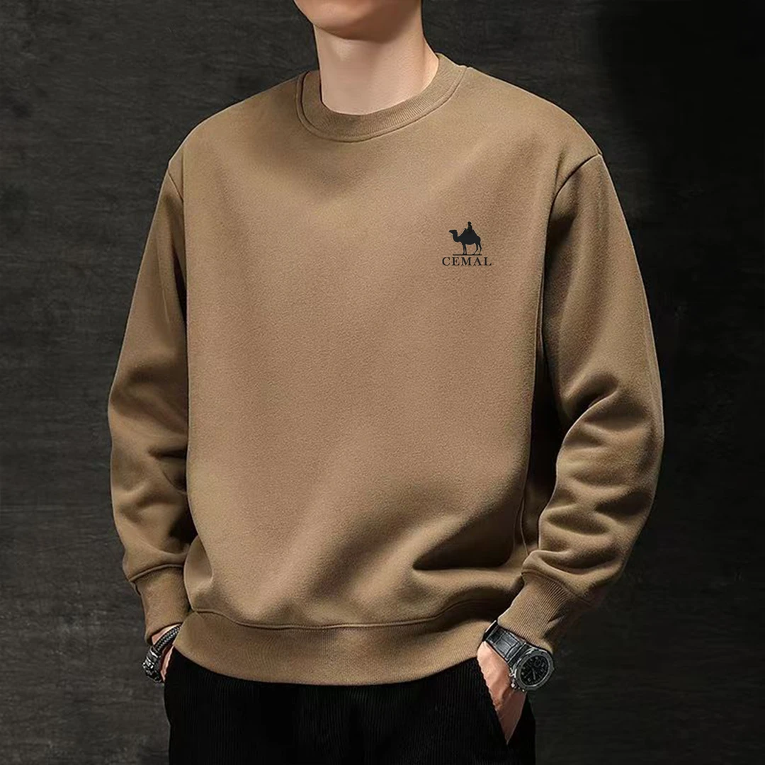 2025秋冬潮流百搭长袖休闲时尚运动休闲男士上衣圆领卫衣【沙漠】