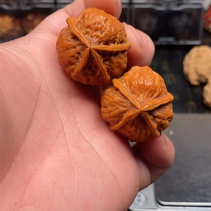 文玩核桃把件福利对小四棱