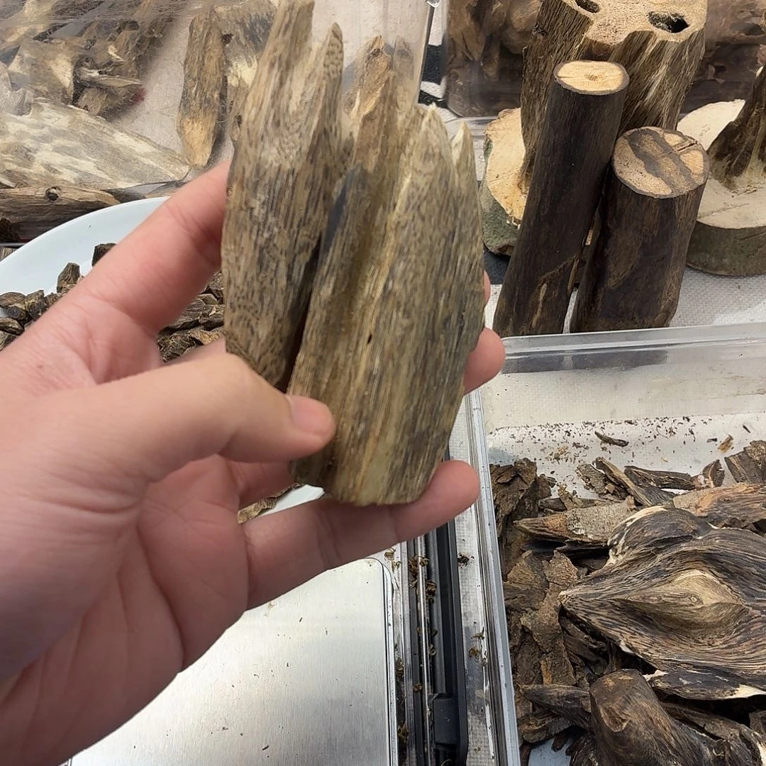 28克开播福利虫漏价