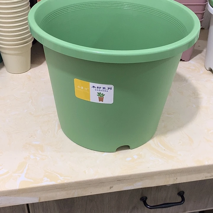 小果汀33口高26.5绿2个带托