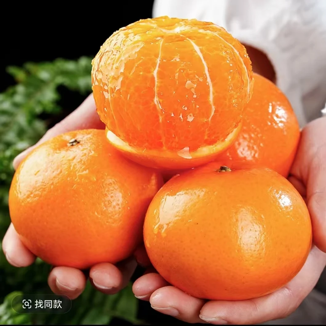 广西武鸣沃柑当季新鲜水果皮薄多汁香甜柑橘采摘花皮大果整箱