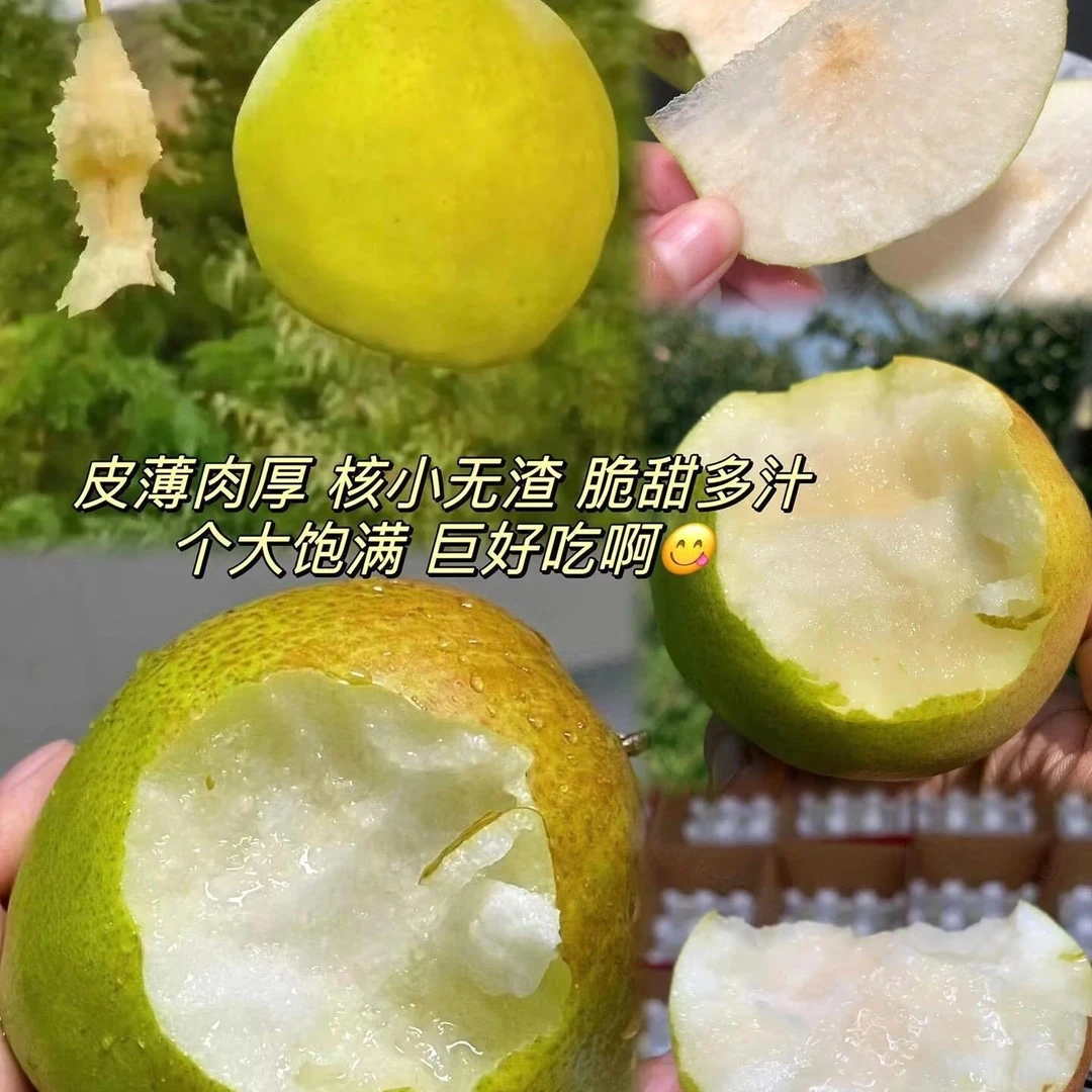 玉露香梨礼盒装9.5-10斤，一箱嘎嘎好吃，嘎嘎甜，包邮