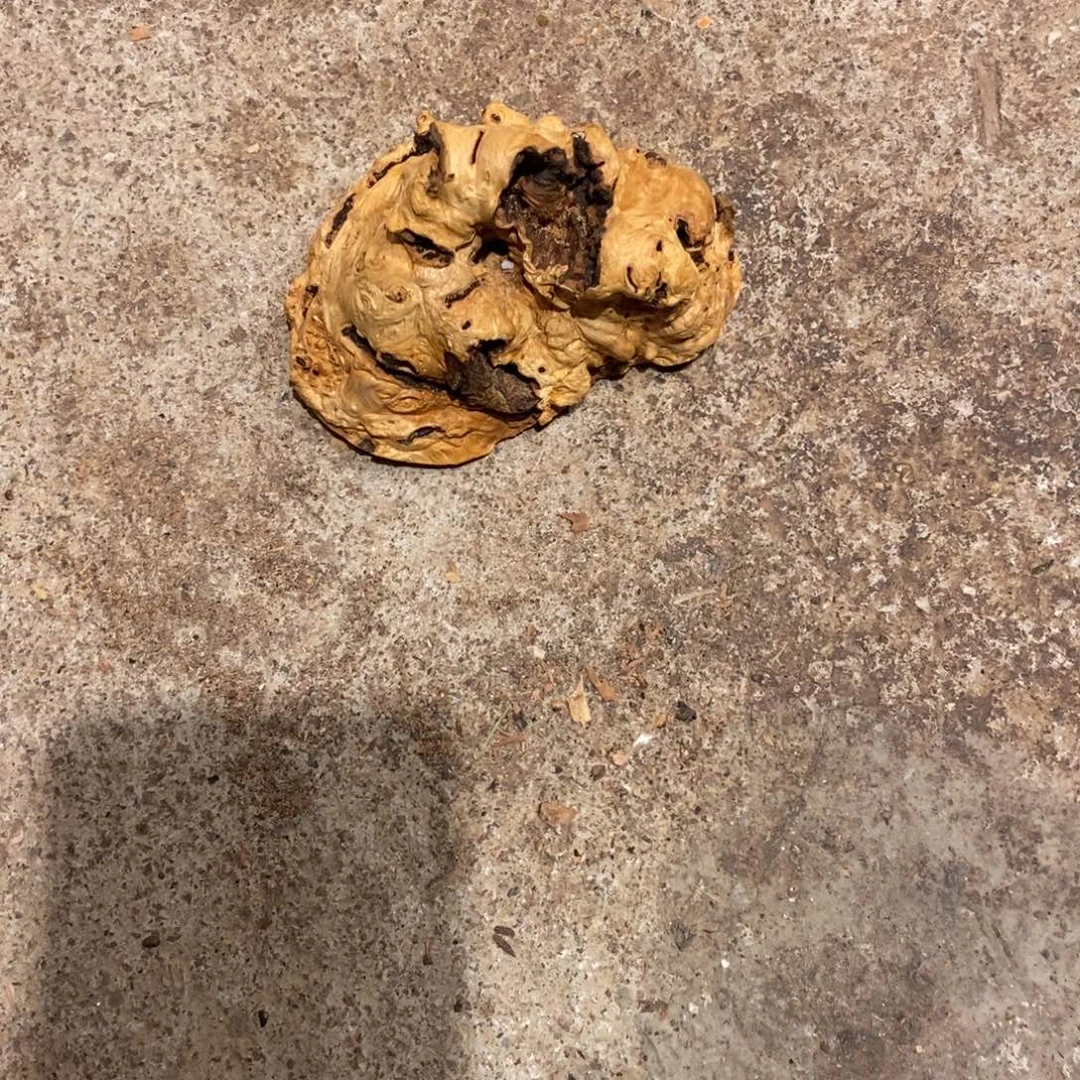 小***4荔枝木随形木材一个