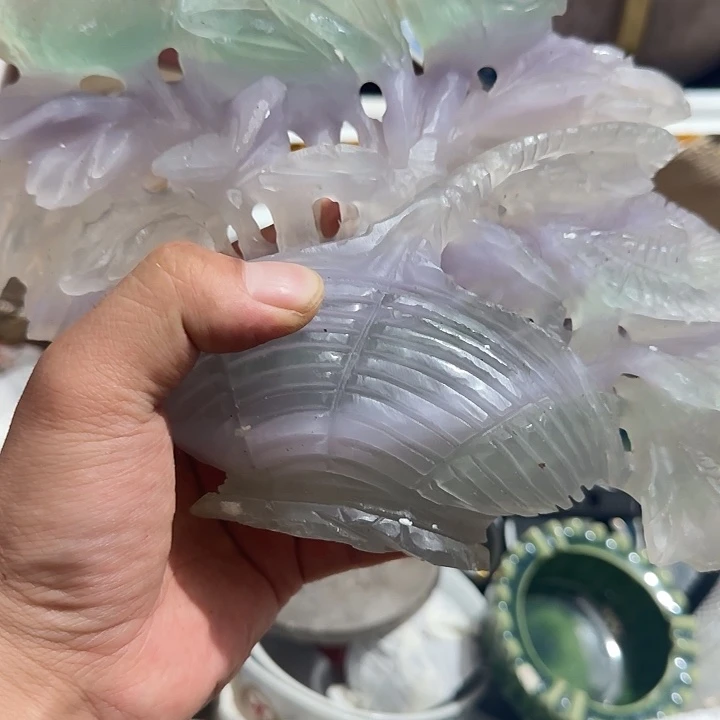 橄榄核其他興Fgghghghvhvbv