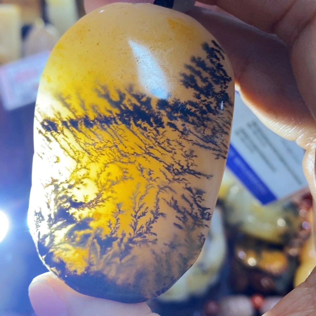 石英质玉（黄龙玉）颈饰未镶嵌