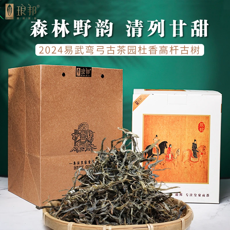 琅邦2024年弯弓国有林杜香高杆（8余米高杆）古树头春头采