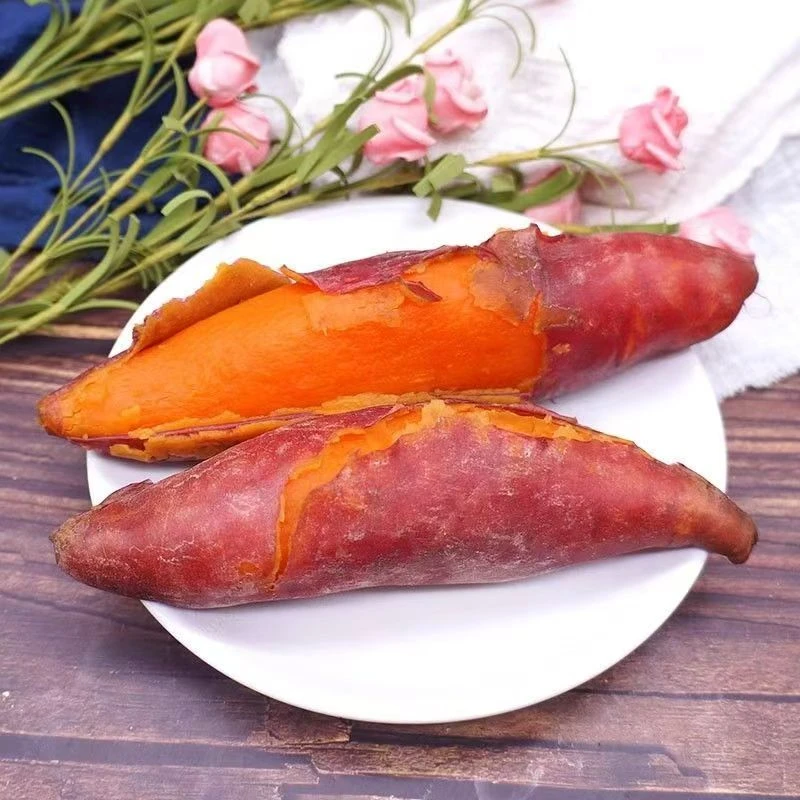 新鲜糖心龙九蜜薯软糯香甜可蒸煮可烤地瓜黄心红薯中大果自种番薯