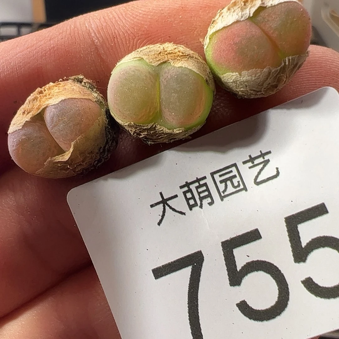 0000755 一物一拍……