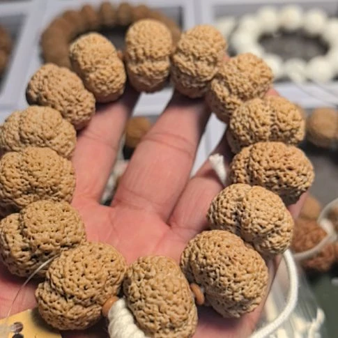 金刚菩提手串菠萝蜜大金刚手串，平头平尾，全品无黄