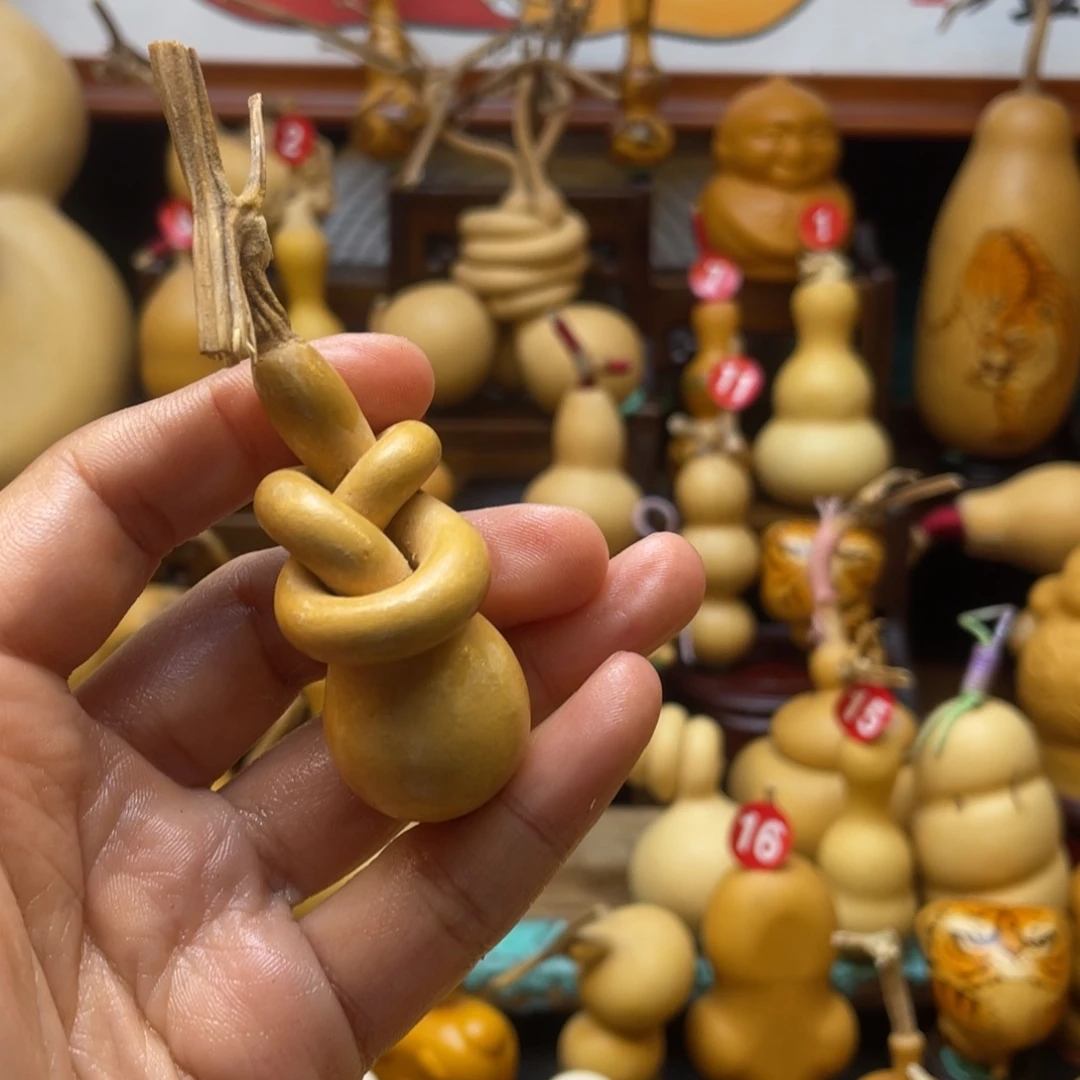 ?**✨葫芦等经济林木的分布在这里的分布