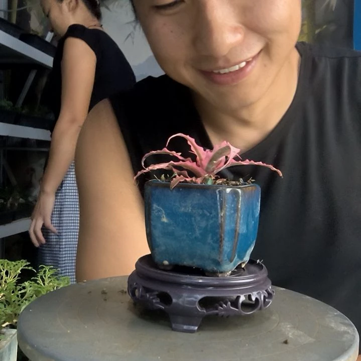 李**姐中青园艺一物一拍59