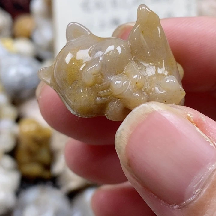 颈饰未镶嵌硅化珊瑚（珊瑚玉）没打孔 小