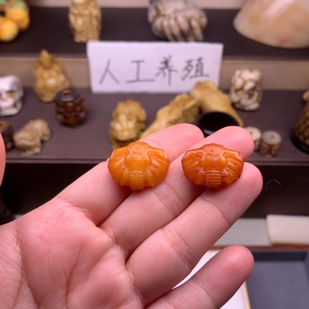 驼骨其他好看又好看又好玩