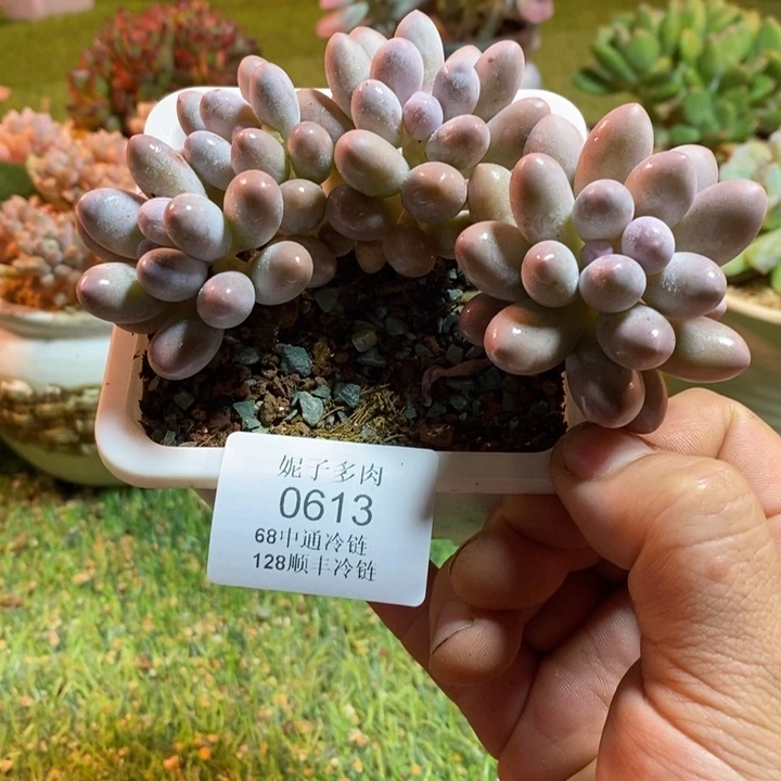 0613啊啊啊啊啊啊啊啊啊啊