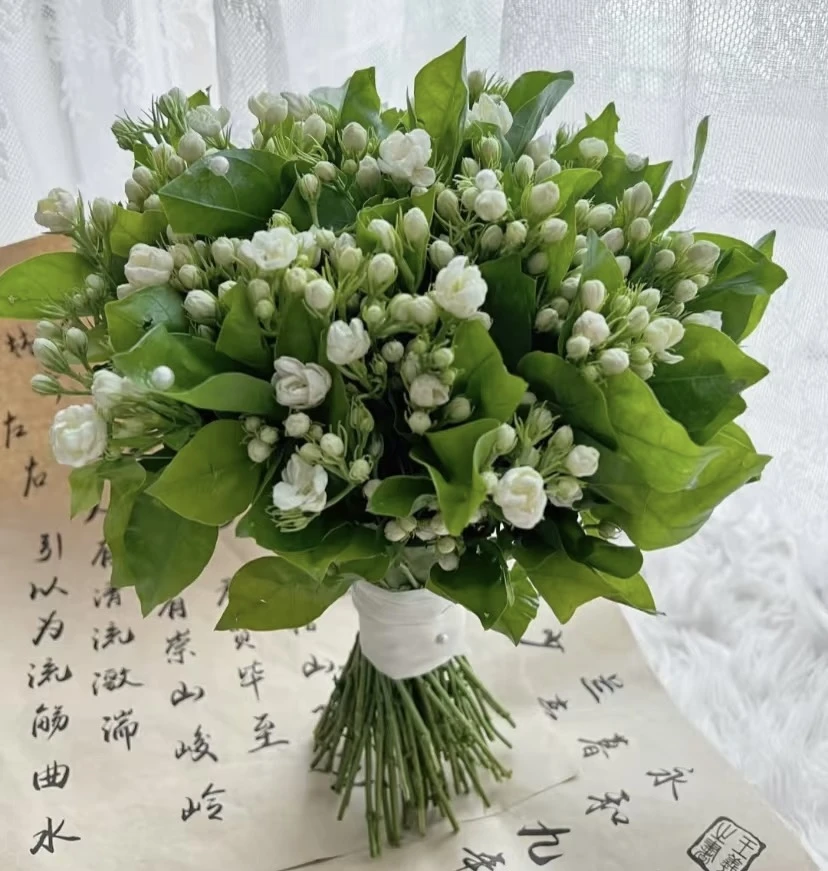 【茉莉花】任意两单及两单以上鲜花顺丰包邮发货