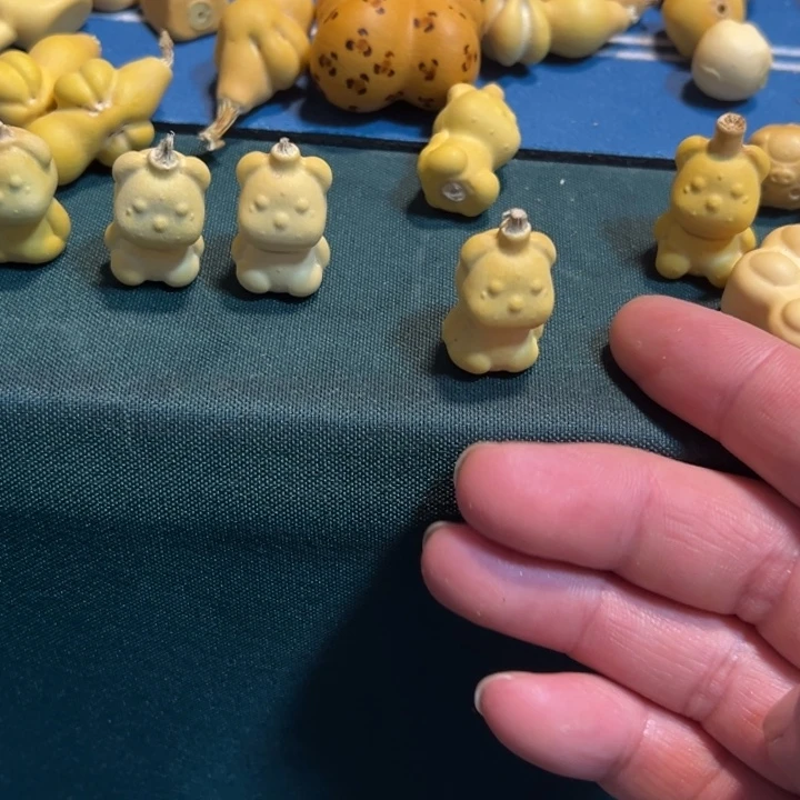了***沐突突突突突突突突突突突突
